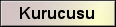 PROGRAMIN KURUCUSU